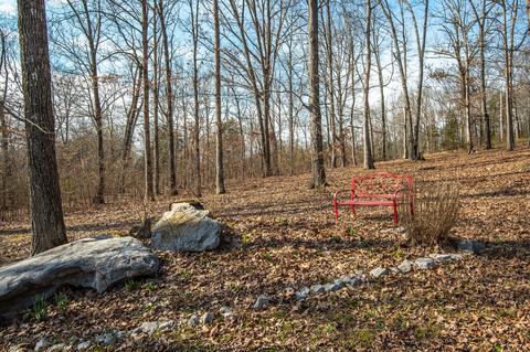 1111 Robertson Rd, Spring Hill, TN 37174 photo 4