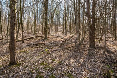 1111 Robertson Rd, Spring Hill, TN 37174 photo 31