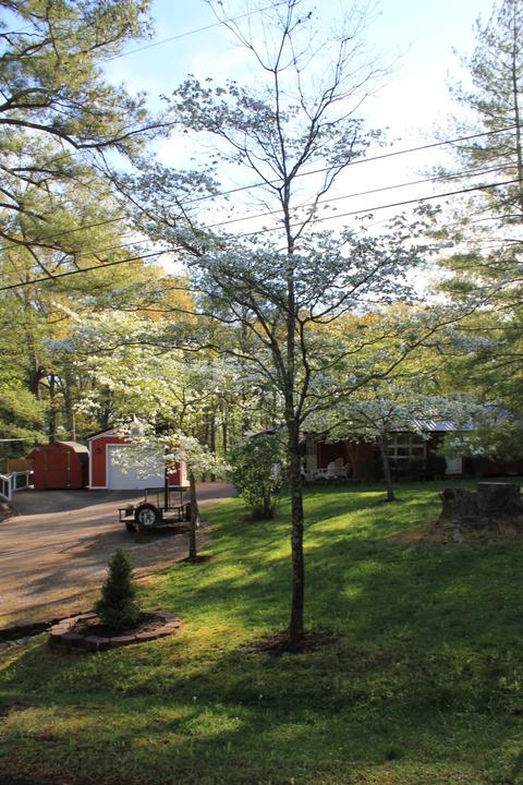 112 Hillcrest Dr, Dover, TN 37058 photo 29