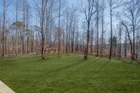 426 Killarney Pl, Fairview, TN 37062 photo 3