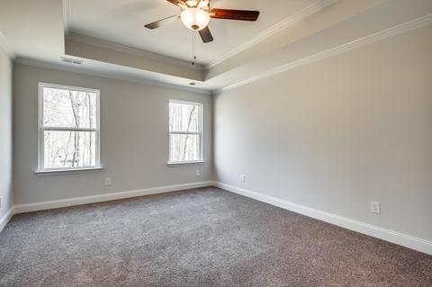 413 Killarney Pl, Fairview, TN 37062 photo 11
