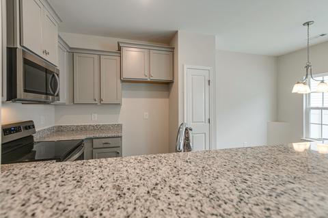 205 Kinsale, Spring Hill, TN 37174 photo 14
