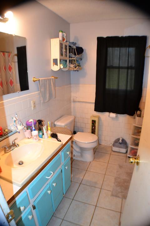 1290 Fall River Rd, Goodspring, TN 38460 photo 6