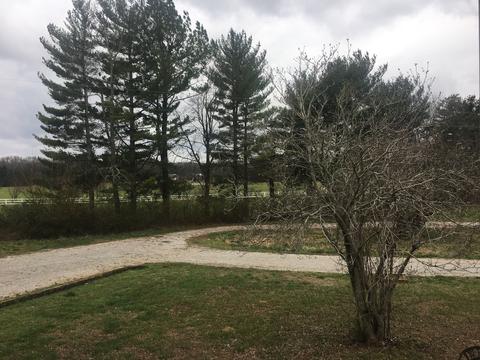 2406 Blue Spring Rd, Decherd, TN 37324 photo 4