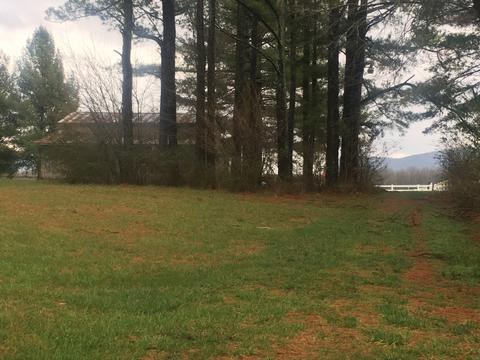 2406 Blue Spring Rd, Decherd, TN 37324 photo 5