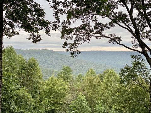 479 Saddle Tree, Sewanee, TN 37375 photo 16
