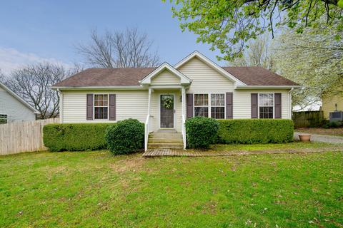 104 Brookside Pt, Springfield, TN 37172 photo 1