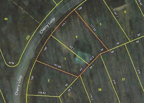 170 Cheree Loop, Stewart, TN 37175 photo 5