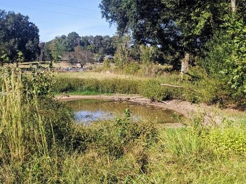 972 Mud Creek Rd, Morrison, TN 37357 photo 23