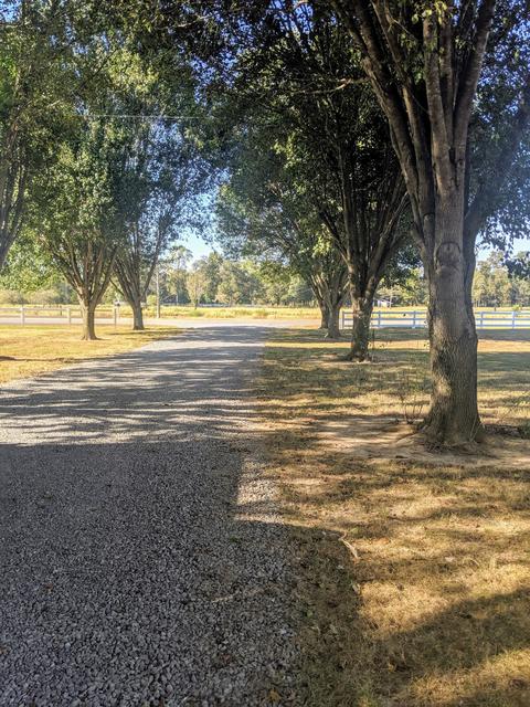 972 Mud Creek Rd, Morrison, TN 37357 photo 27