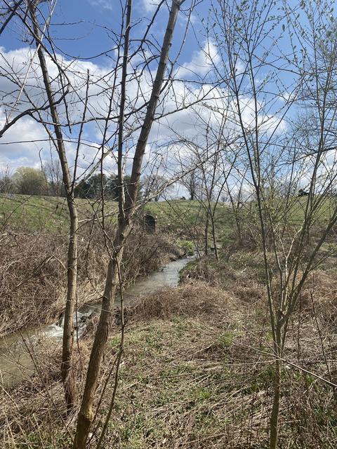 172 Chipman Rd, Bethpage, TN 37022 photo 10