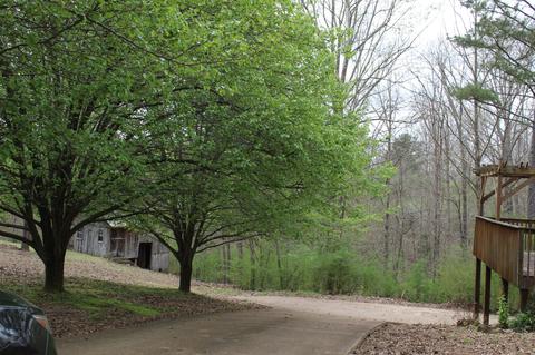 3870 Cedar St, Centerville, TN 37033 photo 28