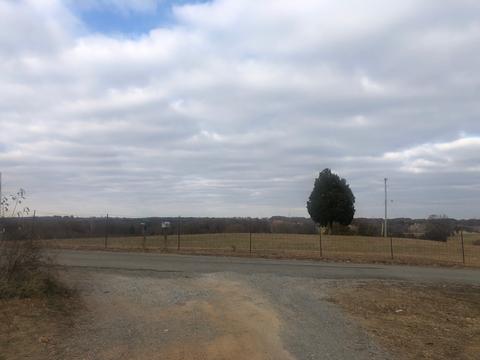 4782 Bridges Rd, Springfield, TN 37172 photo 25