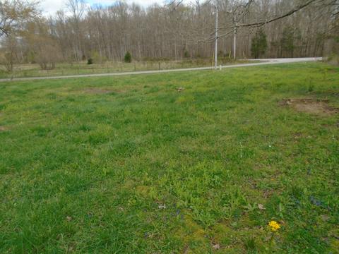 3140 Jernigan Branch Rd, Beechgrove, TN 37018 photo 16