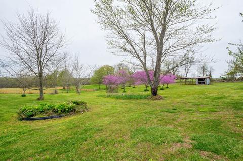6020 Henry Rd, Springfield, TN 37172 photo 36