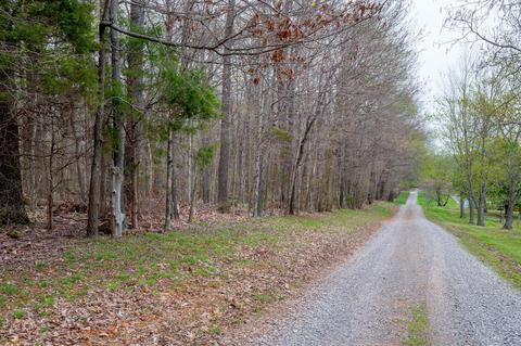 6020 Henry Rd, Springfield, TN 37172 photo 28