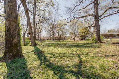 312 Golfview Ln, Springfield, TN 37172 photo 26