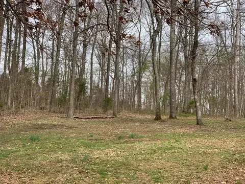 201 Swift Ln, Cunningham, TN 37052 photo 5