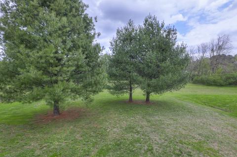 302 Red Bud Ct, Springfield, TN 37172 photo 23