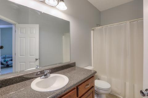 419 Arabian Ln, Springfield, TN 37172 photo 21