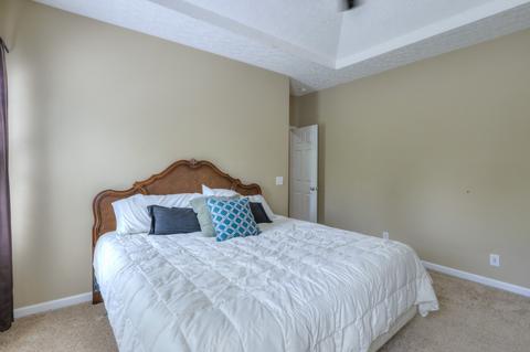 419 Arabian Ln, Springfield, TN 37172 photo 16