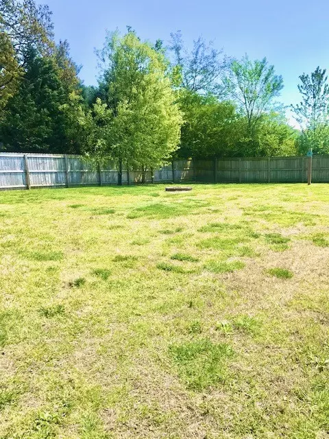 2203 Ruth St, Springfield, TN 37172 photo 15