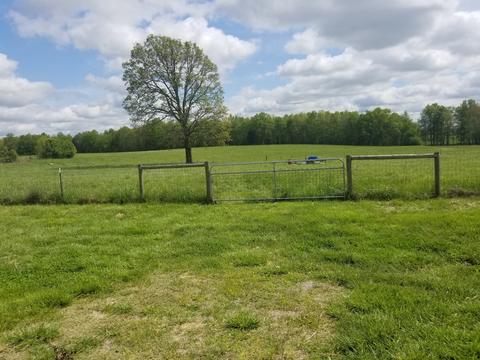 844 Pocahontas Rd, Morrison, TN 37357 photo 21