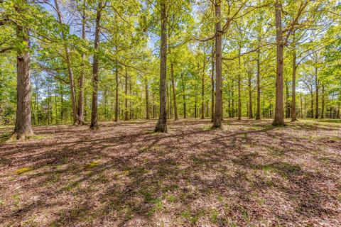 1110 Pack Rd, White Bluff, TN 37187 photo 26