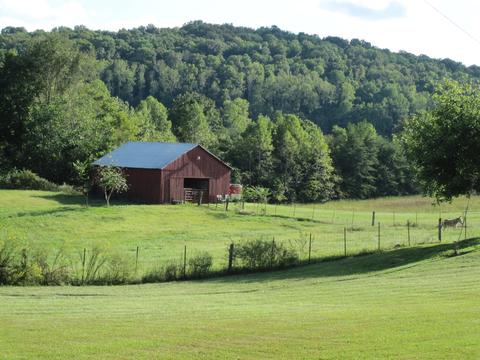8127 Franks Ferry Rd, Walling, TN 38587 photo 33