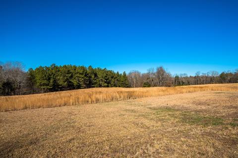 188 W Piney Rd, Dickson, TN 37055 photo 33