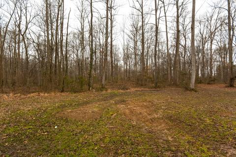 4146 Wells Rd, Springfield, TN 37172 photo 30