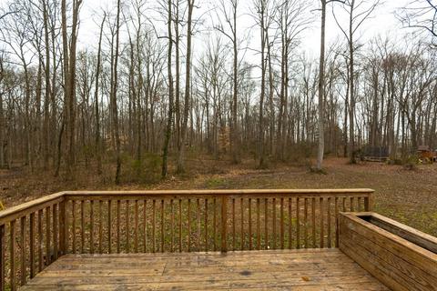 4146 Wells Rd, Springfield, TN 37172 photo 29