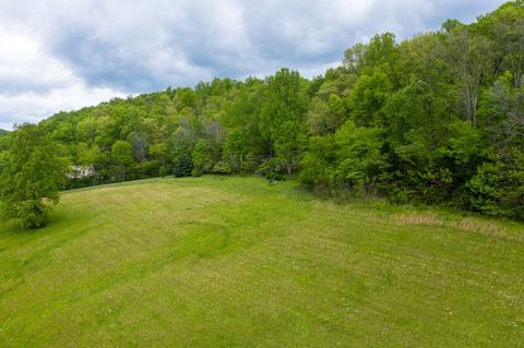 287 Cascade Hollow Rd, Normandy, TN 37360 photo 8