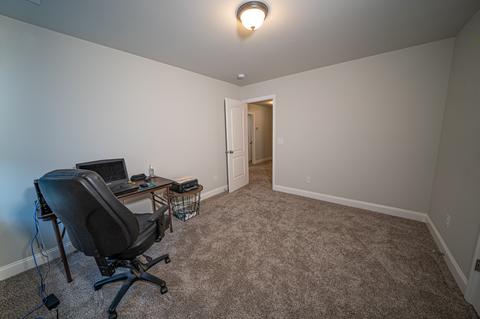 1046 Daniel Ln, Spring Hill, TN 37174 photo 20