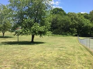 2612 Derby Run Rd, Springfield, TN 37172 photo 15
