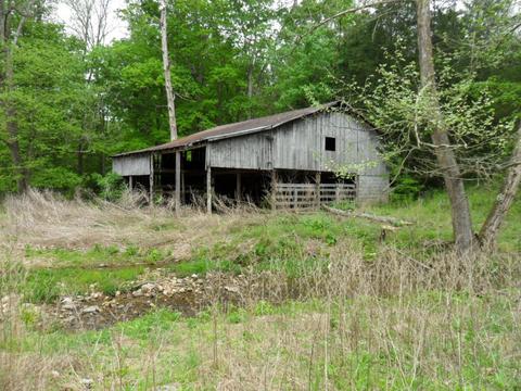 4160 Lem Davis Rd, Cunningham, TN 37052 photo 4