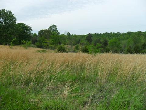 4160 Lem Davis Rd, Cunningham, TN 37052 photo 9