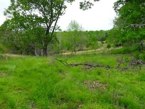 4160 Lem Davis Rd, Cunningham, TN 37052 photo 10