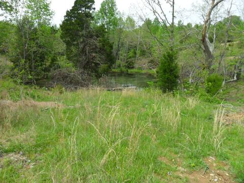 4160 Lem Davis Rd, Cunningham, TN 37052 photo 5