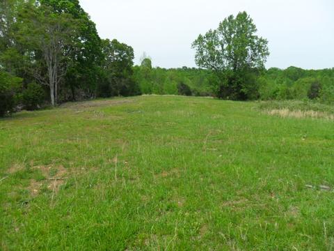4160 Lem Davis Rd, Cunningham, TN 37052 photo 7