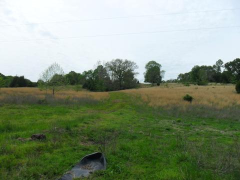 4160 Lem Davis Rd, Cunningham, TN 37052 photo 18