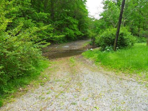 4160 Lem Davis Rd, Cunningham, TN 37052 photo 20