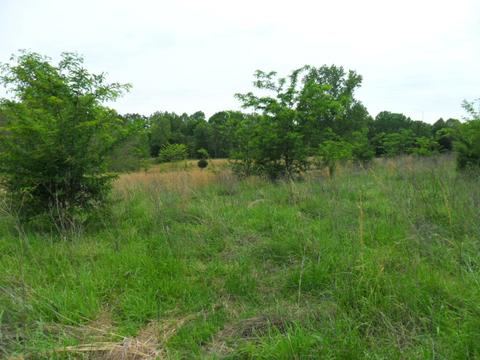 4160 Lem Davis Rd, Cunningham, TN 37052 photo 8