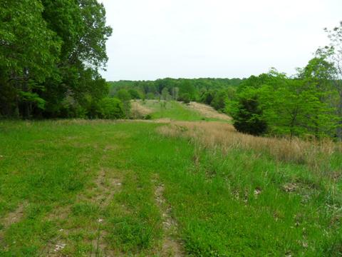 4160 Lem Davis Rd, Cunningham, TN 37052 photo 12
