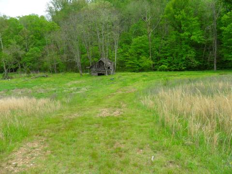 4160 Lem Davis Rd, Cunningham, TN 37052 photo 15