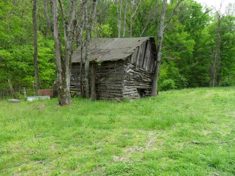 4160 Lem Davis Rd, Cunningham, TN 37052 photo 3