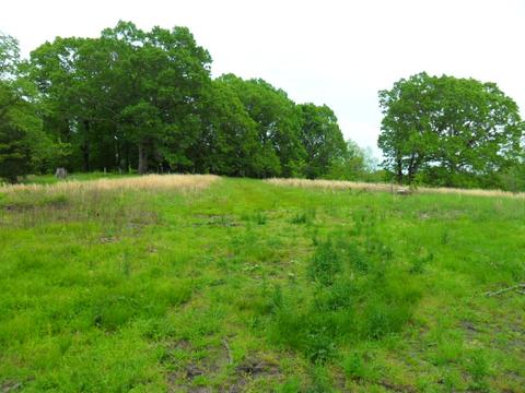 4160 Lem Davis Rd, Cunningham, TN 37052 photo 11