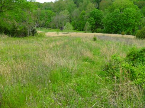 4160 Lem Davis Rd, Cunningham, TN 37052 photo 13