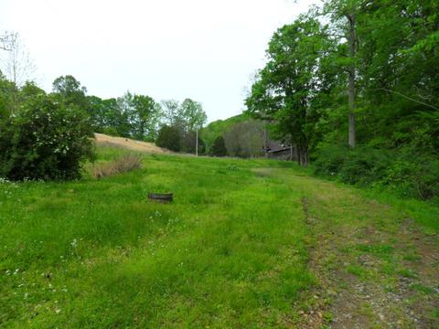 4160 Lem Davis Rd, Cunningham, TN 37052 photo 21