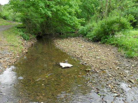 4160 Lem Davis Rd, Cunningham, TN 37052 photo 16